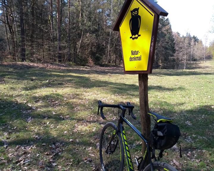 Buhlauer Waldgarten